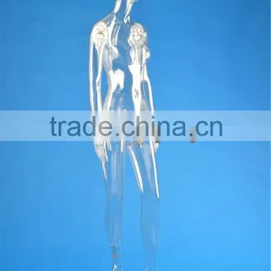 Full Body Transparent Plastic Mannequin thumbnail-4