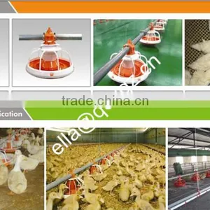 Prefabricated Poultry Farm Chicken House thumbnail-1