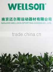 Nanjing Wellson Sporting Goods Co., Ltd. company overview - view 1 thumbnail