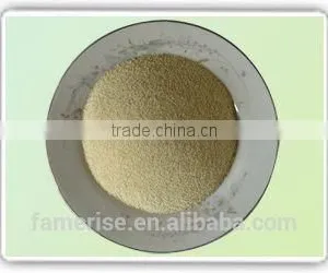 Factory Price Dehydrated Onion Powder (40-80 Mesh) thumbnail-1