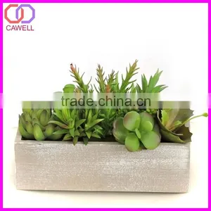 Real Looking Artificial Succulent Plants thumbnail-1