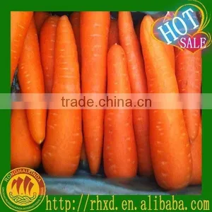 Carrots Agricultural Crops of China thumbnail-1