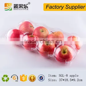 Best Price Plastic Transparent 8 Apple Box thumbnail-2