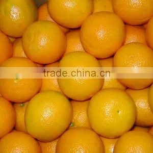 Fresh Valencia Orange thumbnail-1