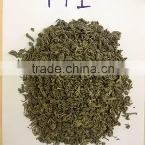Best Quality Competitive Price M1 Green Tea With Pure Flavor From Viet Nam Manufacturer thumbnail-3