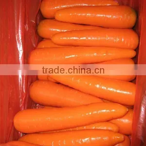200-250g Carrot thumbnail-1