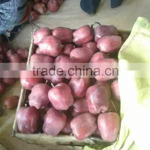Huaniu Apples Red Delicous of Year 2015 thumbnail-4