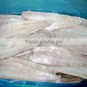 Frozen Saithe Fillet thumbnail-1
