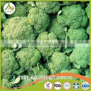 2017 China Iqf Frozen Broccoli Fresh Green Broccoli Frozen Broccoli Broccoli Powder thumbnail-1