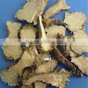 Blackberrylily Rhizome thumbnail-1