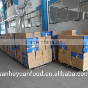 Good Quality Canned Bamboo Shoots Halves in Water thumbnail-5