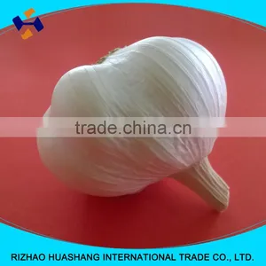 White Garlic Size4.0cm thumbnail-4