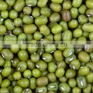Hot Split Vietnam Green Mung Bean With Competitive Price thumbnail-1