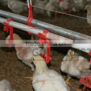 ^for Poultry Feeding Farm Automatic Drinkers for Animals thumbnail-1