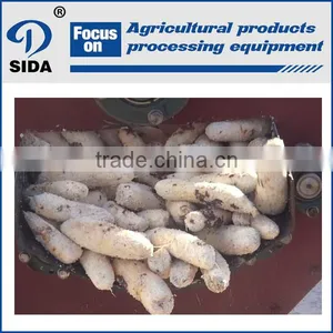 ISO,CE, Certification Cassava Peeling Machine thumbnail-1