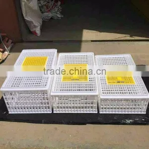 New Condition Poultry Plastic Transport Crate/box/cage for Chicken thumbnail-6