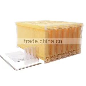 Honey Flow Beehive Frame/plastic Beehive Frame thumbnail-1