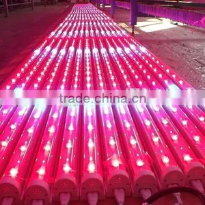 Best Indoor Led Grow Lights for Flowering T8 20w 730nm Led Tube thumbnail-2