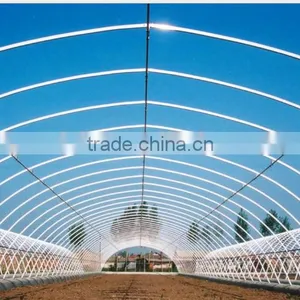Plastic Film Greenhouse for Livestock thumbnail-2