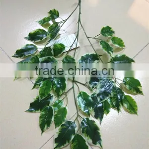SJ7001008 Artificial Plastic Ficus Leaves/Chinese Silk Banyan Tree Leaf thumbnail-2