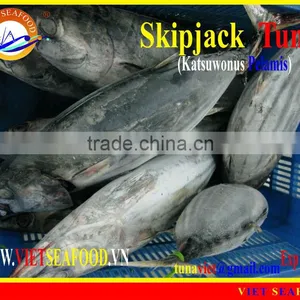 FROZEN SKIPJACK TUNA W/R thumbnail-1