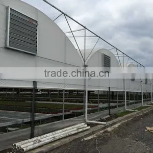 Manufacturer Plastic Film Greenhouse Tunnel for Medical Plant thumbnail-3