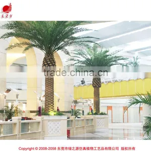 Hot Selling Big Tree for Sale for Decorative Iron Palm Tree thumbnail-1