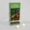 Party Lantern thumbnail-1