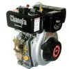Tractor Engine (CF170FE) thumbnail-1