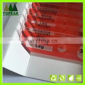 Insect Type Honey Butterfly Plastic Microscope Prepared Slides thumbnail-1