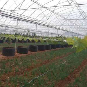 Anti Fog Plastic Film Multispan Tunnel Greenhouse thumbnail-1