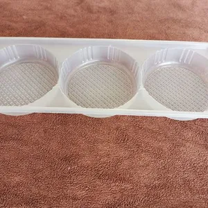 Custom Disposable Plastic Tray thumbnail-1