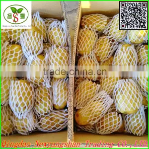 (HOT) Onion/Fresh Onion/CHINA ONION thumbnail-4