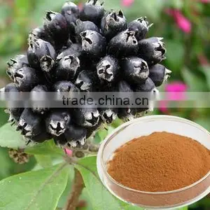Siberian Ginseng Extract thumbnail-1