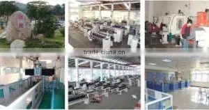 Hengye Machinery Co., Ltd. Of Dongguan City company overview - view 2 thumbnail