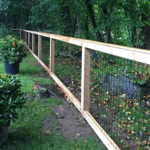 Black Welded Wire Mesh Welded Wire Mesh Chicken Wire Netting Wire Netting Poultry Fence Poultry Mesh Welded Wire Black Wire Black Welded Weld Wire thumbnail-1