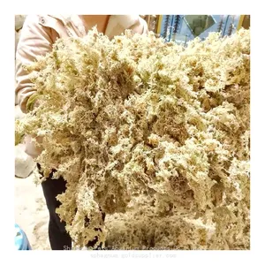 High-quality Clean Long Fiber Sphagnum Moss 500g Compressed Dry Brick for Orchid Dendrobium Flower Cultivation Reptile Mattress thumbnail-1