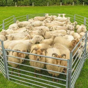 Heavy Duty Livestock Cattle Corral Fence Gate and Horse Round Pen Sheep Panels Farm Fence USA Metal Cattle Panel Fence thumbnail-5