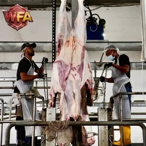 WFA Large Scale Cattle Slaughterhouse Equipment Cow Abattoir Machine Meat Processing Plants Turnkey Installation thumbnail-1