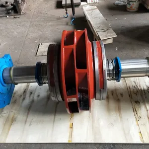 DFSS250-4N/4 Rotor Assembly Wear Resistant Rotor Component Shanghai East Pump thumbnail-3