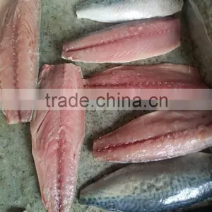 Pacific Mackerel Fillet and Scomber Japonicus thumbnail-1