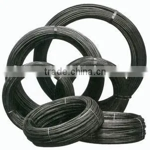 Black Annealed Wire Factory thumbnail-1
