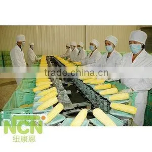China Supply Frozen Sweet Corn Cob thumbnail-3