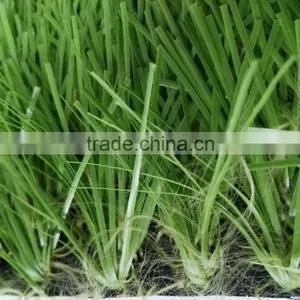 Professional 50mm Height UV Resistance Artificial Turf for Football Pitch thumbnail-1