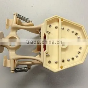 Dental Typodonts Teeth Articulators Model With Jaw Removable Screw thumbnail-4