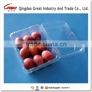 Disposable Clear Plastic Clamshell Containers for Fruit thumbnail-2