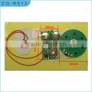 Sound Module for Greeting Cards/music Module/recording Module/USB Modules/motion Sensor Module/cheap Sound Module for Cards thumbnail-1