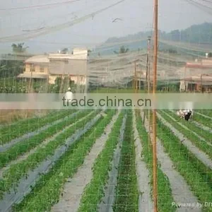 Bird Barrier Netting thumbnail-1