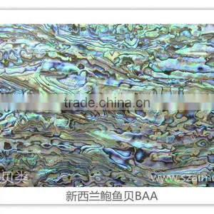 High Quality Natural Abalone Mother of Pearl Shell Paper Shell Sheet Shell Laminate thumbnail-1
