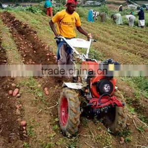 10hp Diesel Power Tiller Mini Tiller Potato Ridger thumbnail-1
